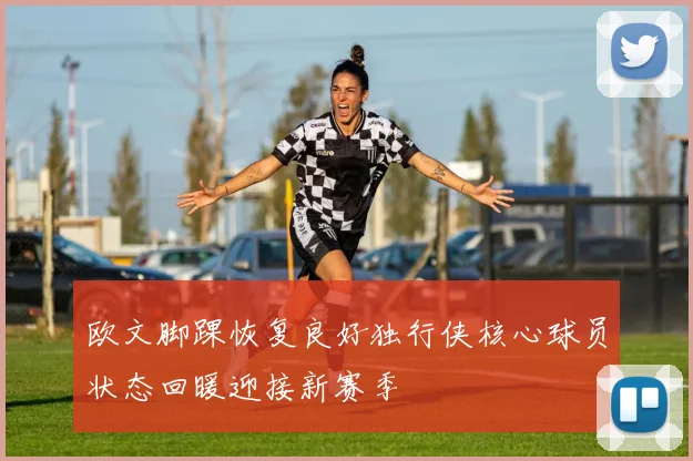 欧文脚踝恢复良好独行侠核心球员状态回暖迎接新赛季