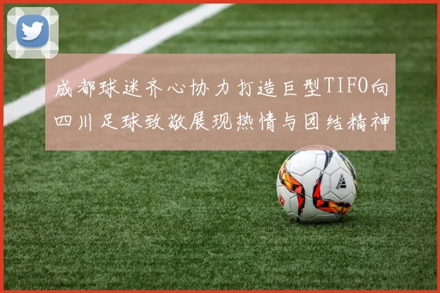成都球迷齐心协力打造巨型TIFO向四川足球致敬展现热情与团结精神
